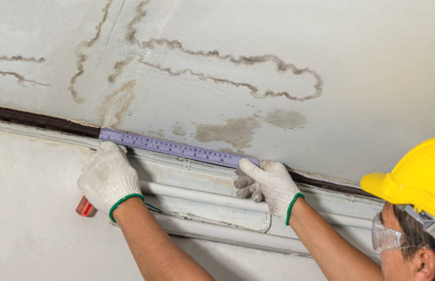 Reliable Water Damage contractor in Bridgeport, WV by Water Damage Irwin